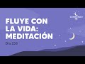 Fluye con la vida: Meditación - Día 258 Año 2 | Durmiendo Podcast