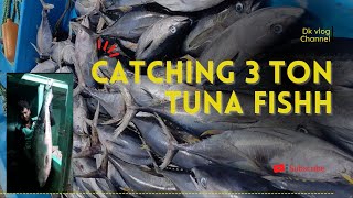 Catching 3 ton big eye tuna fish || 3 டன் பெரிய கண் சுங்க  மீன் பிடித்தல் விடியோ  || 3  டன் கேர மீன்