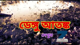 ডেঙ্গু আতঙ্ক দক্ষিণ 24 পরগনা।Dengue Panic South 24 Parganas