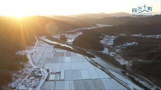 しまんとがわのまんなか　四万十町