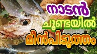 നാടൻ ചൂണ്ടയിൽ മീൻപിടുത്തം/traditional fishing with hook