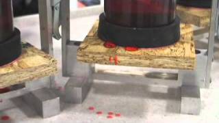 AdvanTech® Flooring Moisture Resistance Demo