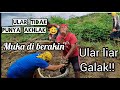 Teriakan Warga Melihat jenis Ular terpanjang di dunia!! Saat bikin api buat bakar bulus pendam!!