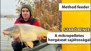 A mikropelletes horgászat sajátosságai