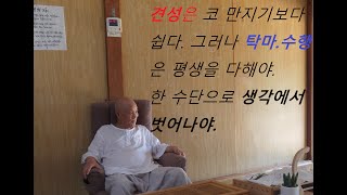 백운스님의 직지인심.(생각의 노예가 되지 않아야._1)