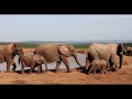 Sebastian Lightfoot - Heart Of Africa (Official pop video) in honor of South African nature & people