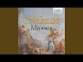 Missa brevis in D Major, K. 194: V. Benedictus