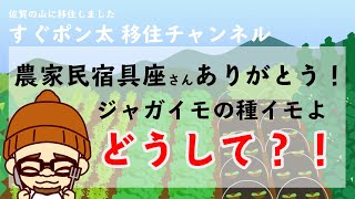 【畑シリーズ＃03】ジャガイモの種イモを仕込み植える準備【さが移住VLOG】