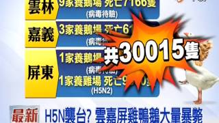 【中視新聞】H5N8襲台? 雲嘉屏雞鴨鵝大量暴斃 20150111