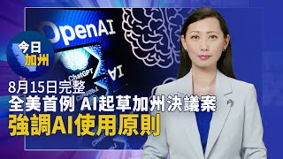 紐森邁出全美槍控第一步 加州議會率先決議｜全美首例 AI起草加州決議案強調AI使用原則｜喬州檢察官起訴川普等19人 川普：獵巫行動｜曾遭野火肆虐 加州天堂鎮為夏威夷大火募款 【8月15日】今日加州