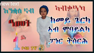 ከመይ ጌርካ ኣብ ሞባይልካ ፓነር ትሰርሕ!!