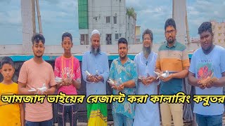 আমজাদ ভাইয়ের কালারিং কবুতর।Mirpur Shahid Smrity Pigeon Loft।#mspigeonloft #pigeon #video #kobutor