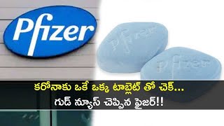 Pfizer’s COVID-19 Pill Could Be Available By Year’s End సింగిల్ పిల్ తో కరోనా మాయం | Oneindia Telugu