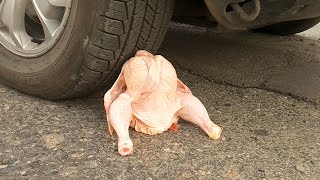 Experiment Meat Blender Car vs Chicken! Destroying things with Car! Crushing Crunchy Chicken!