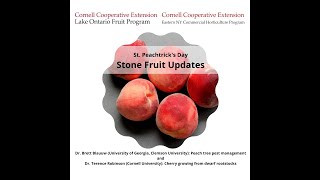 Using Mating Disruption And Entomopathogenic Nematodes For Peach Tree Borer Control
