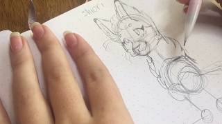 How to draw a warrior cat (redraw)