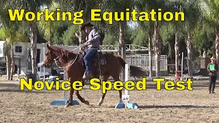 My First Working Equitation Novice Speed Test