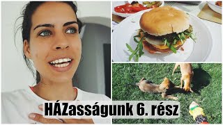 HÁZasságunk 6. rész | Inez Dragos