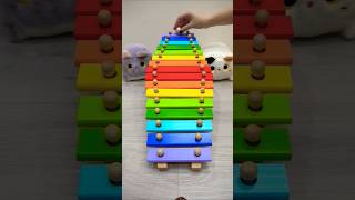 Xylophone Marble Run By Oddly Satisfying #xylophone #marblerun #asmr #satisfying #asmrsounds