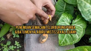 PENEMUAN SEMACAM TELUR BURUNG PURBA \u0026 BATU MENYALA BIRU