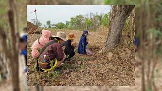 สรุปผลการดำเนินงาน โครงการพัฒนาพื้นที่ต้นแบบ การพัฒนาคุณภาพชีวิต ตามหลักทฤษฎีใหม่