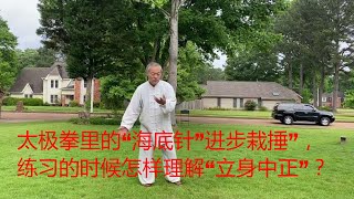 太极拳里的“海底针”进步栽捶”，练习的时候怎样理解“立身中正”？中国传统武术太极、形意、八卦三大内家拳之首的太极的魅力