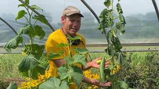 Plant Parts We Eat w/ Gardener John!