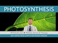 Photosynthesis - GCSE Biology (9-1)