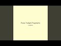 Pulse Twilight Fragments