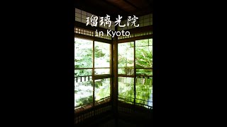 【瑠璃光院 in Kyoto】京都…美しい！日本の良さがつまってました。夏の暑い日々の中に、少しでも「涼しさ」を。#Shorts #京都 #瑠璃光院