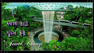 싱가포르🇸🇬 EP.4 창이공항 분수쇼. 바샤커피. 점보씨푸드. 쥬얼창이. 캐노피파크