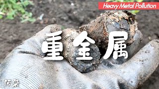 有机种植之如何远离重金属污染？