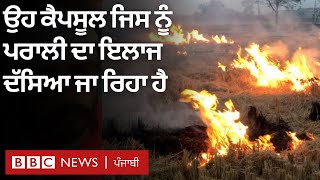 Stubble burning: ਪਰਾਲੀ ਦੀ ਸਮੱਸਿਆ ਤੋਂ ਕਿਵੇਂ ਨਜਿੱਠੇਗਾ ਇਹ ਕੈਪਸੂਲ | BBC NEWS PUNJABI