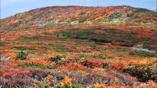 栗駒山の紅葉