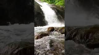 വെള്ളച്ചാട്ടം 🏞️🏞️കാടിന്റെ ഭംഗി 🏝️🏕️