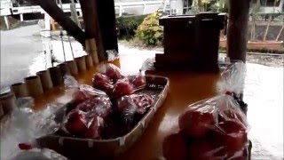 【HD】農家野菜の無人販売！これぞ日本の民度レベル