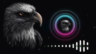 #eagle bird songs Indian Eagle  sound.  eagle bird music download