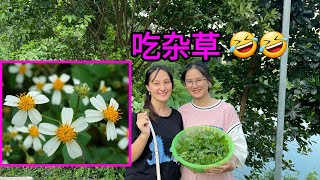 小竹小瓜尝试吃杂草……结果 ｜越南小竹