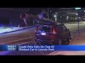 Light pole falls on parked car in Lincoln Park