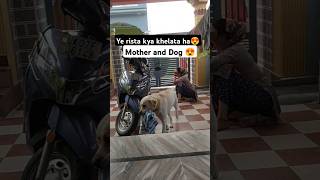 Maa or Unki Pyari Dogi ❤️❤️ #dogs #shorts #labrador #funny #ytshorts #youtubeshort