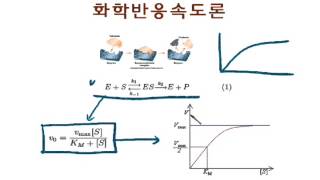 14.9 촉매