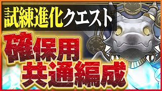 【試練進化クエスト】試練リーダー全対応！百花繚乱をネロミェールで簡単クリア！【パズドラ】