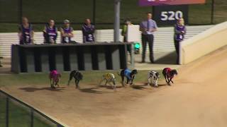 Cannington-09102019-Race-7