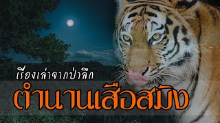 ตำนานเสือสมิง | เรื่องเล่าจากป่าลึก | ตำนานความเชื่อลึกลับ