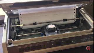 Dot Matrix Printer Dying