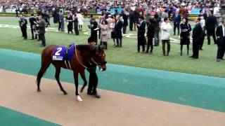 ジャパンカップ 2016 キタサンブラック優勝！パドック