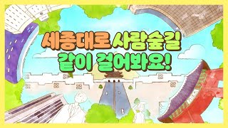 서울 도심 속 가로숲길울 걷다 ㅣ세종대로 사람숲길