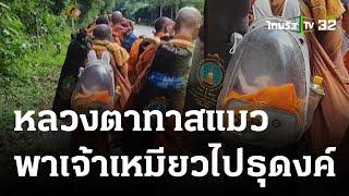 หลวงตาทาสแมว พาเหมียวใส่กระเป๋าไปธุดงค์ | 13 ธ.ค. 66 | ข่าวเช้าหัวเขียว