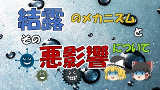 【ゆっくり解説】結露のメカニズムとその悪影響について