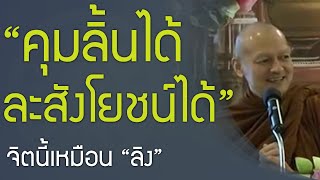 อายตนะพิเศษ \